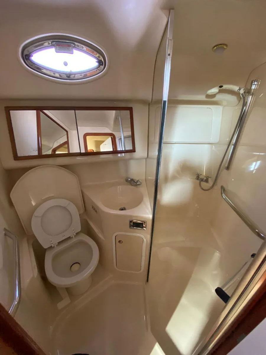 Sea Ray 46 Flybridge "Magnus" — photo 10
