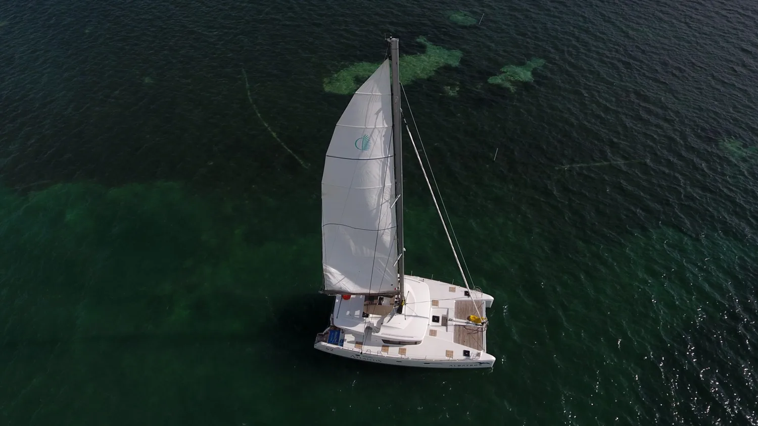 Lagoon 520 Atlantis I – Platino / 50 pax — photo 3