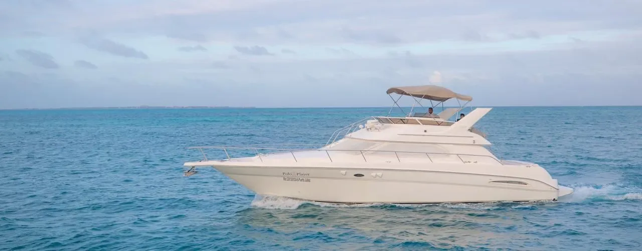 Sea Ray 46 Flybridge "Polo Player" — photo 8