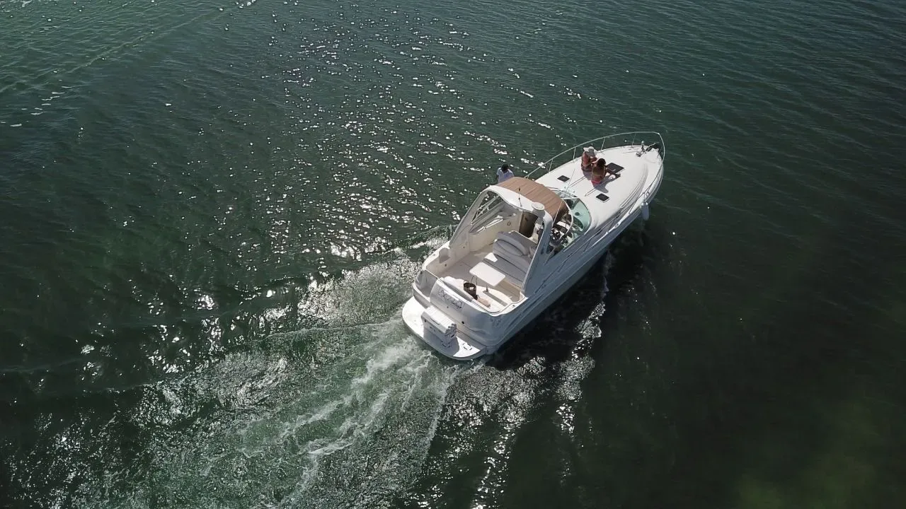 Sea Ray 35 — photo 13