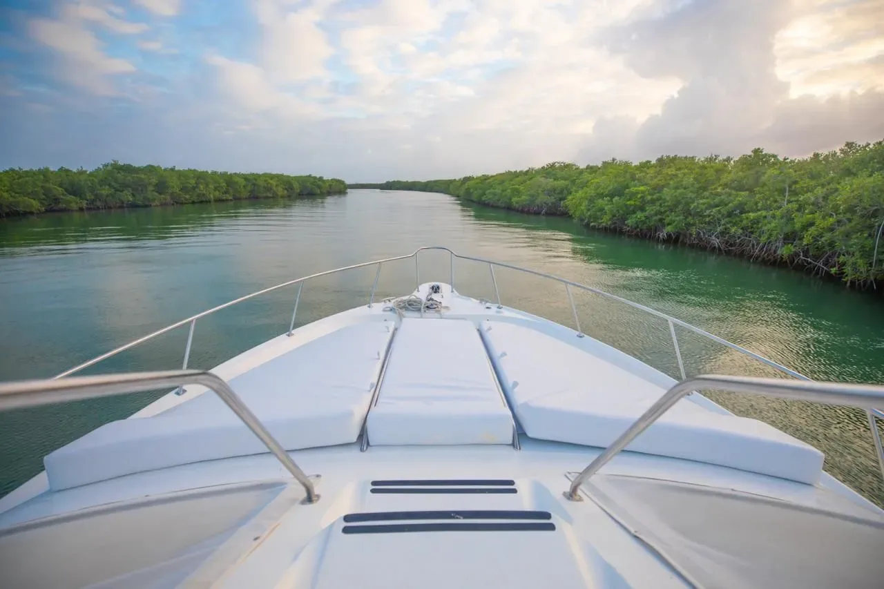 Sea Ray 46 Flybridge "Polo Player" — photo 10