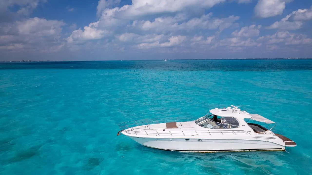 Sea Ray Sundancer 60 — photo 14
