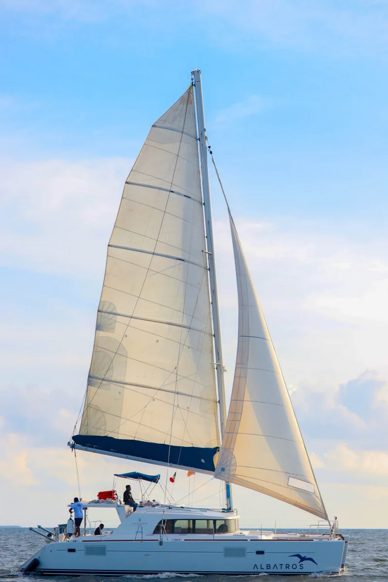 Lagoon 440 Dos – Platino / 35 pax — photo 6