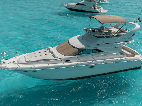Sea Ray 46 Flybridge "Magnus" — photo 11