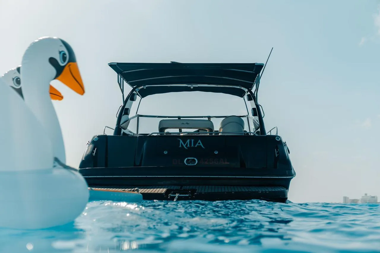 Sea Ray 43 — photo 7