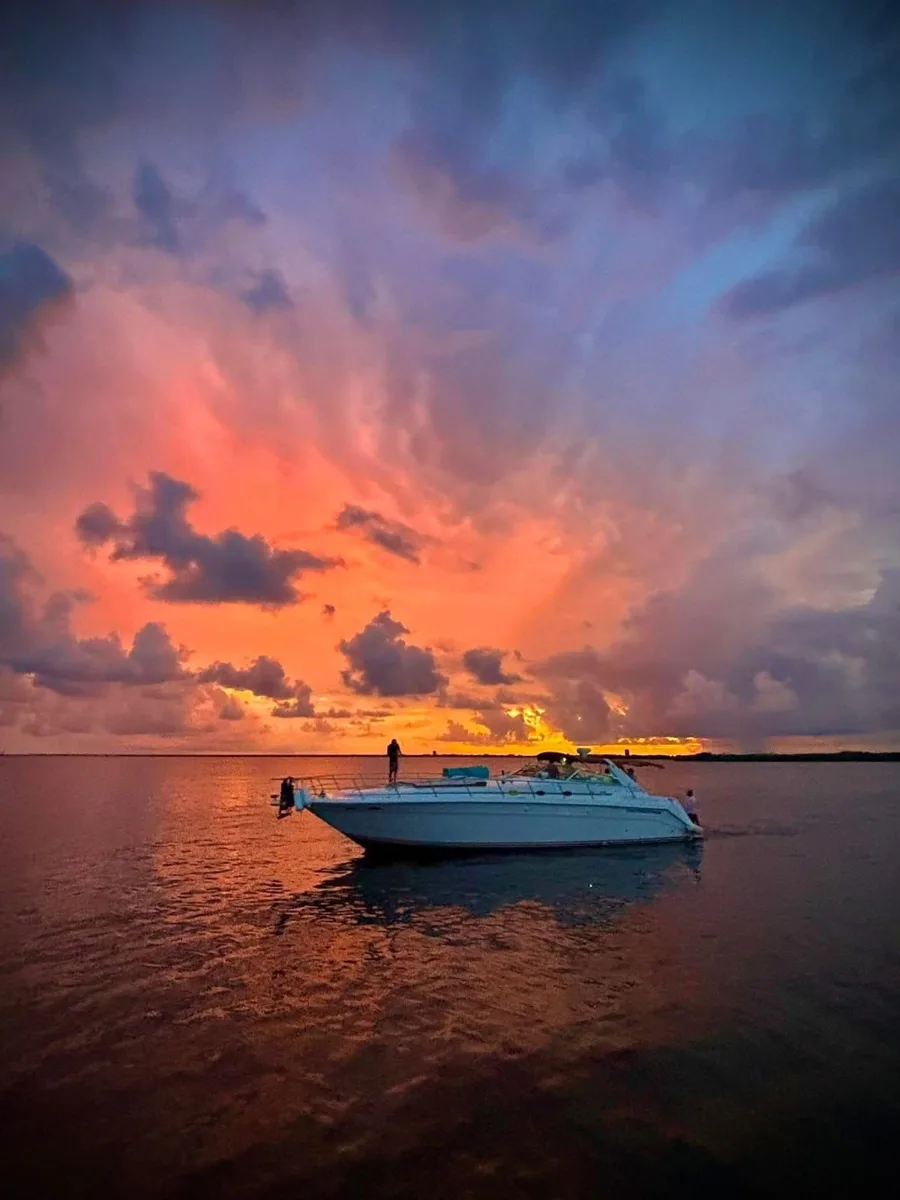 SEARAY 50FT — photo 2