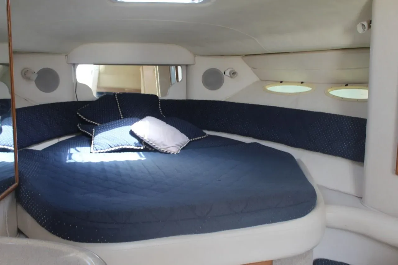 Sea Ray 35 — photo 11