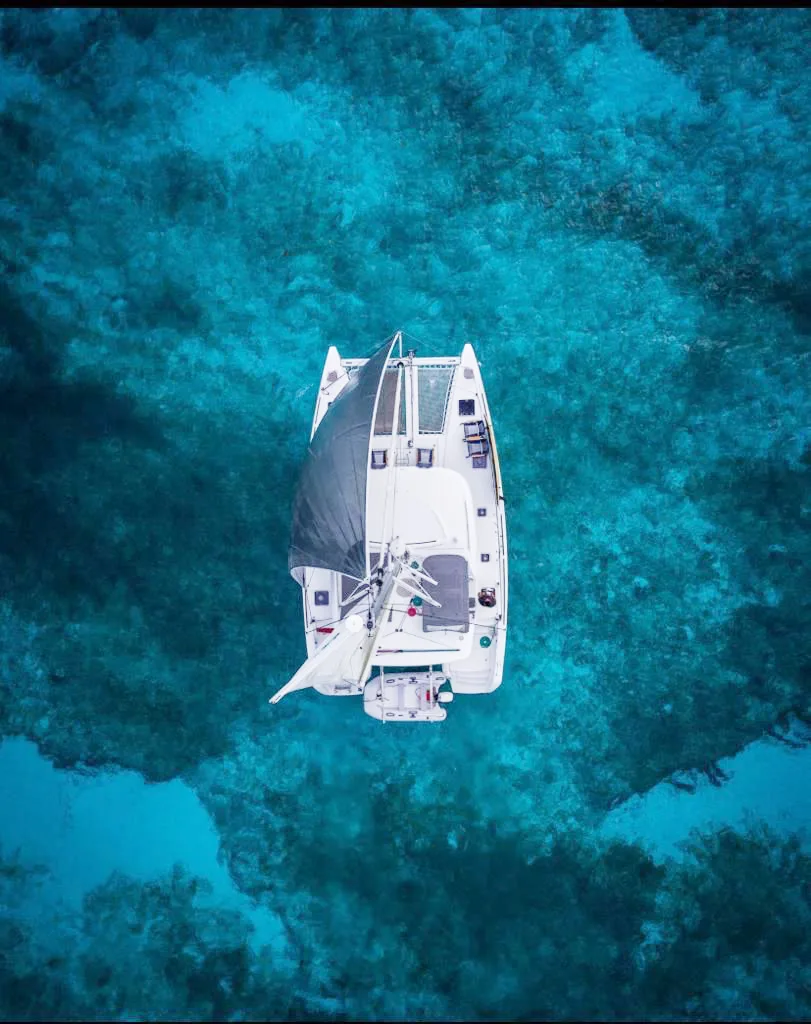 Lagoon 39 Carpediem – platino / 25 pax — photo 4