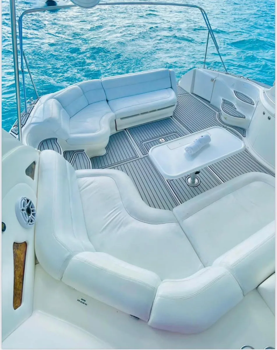 Sea Ray 60 — large groups — photo 10