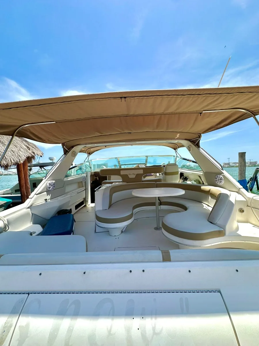 Sea Ray 50 — sunset charters — photo 10