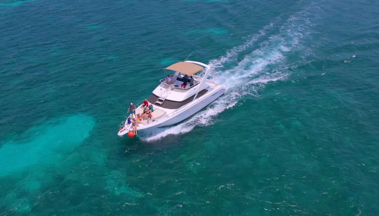 SeaRay Flybridge 46 — photo 2
