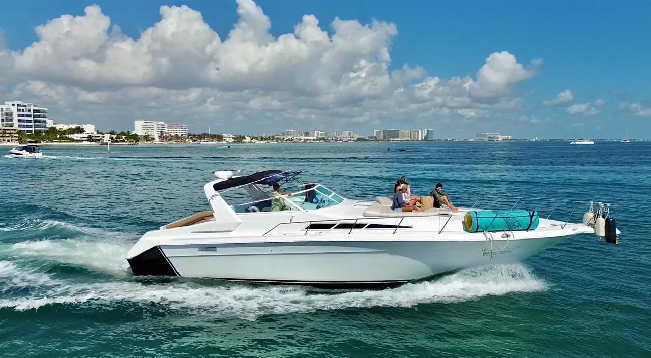 SeaRay 46 — photo 4