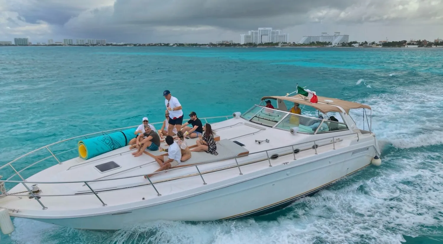 Sea Ray 50 — sunset charters — photo 11