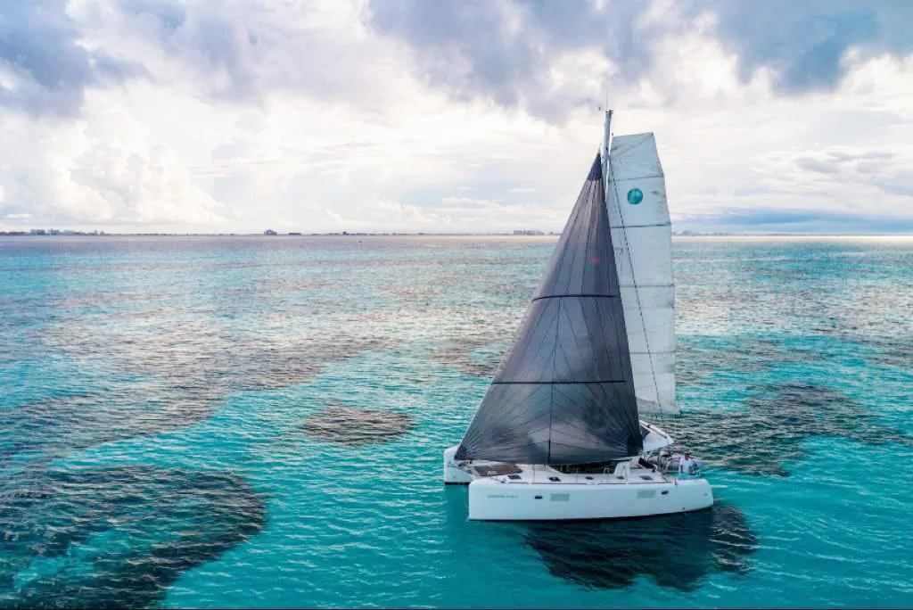 Lagoon 39 Carpediem – platino / 25 pax — photo 1