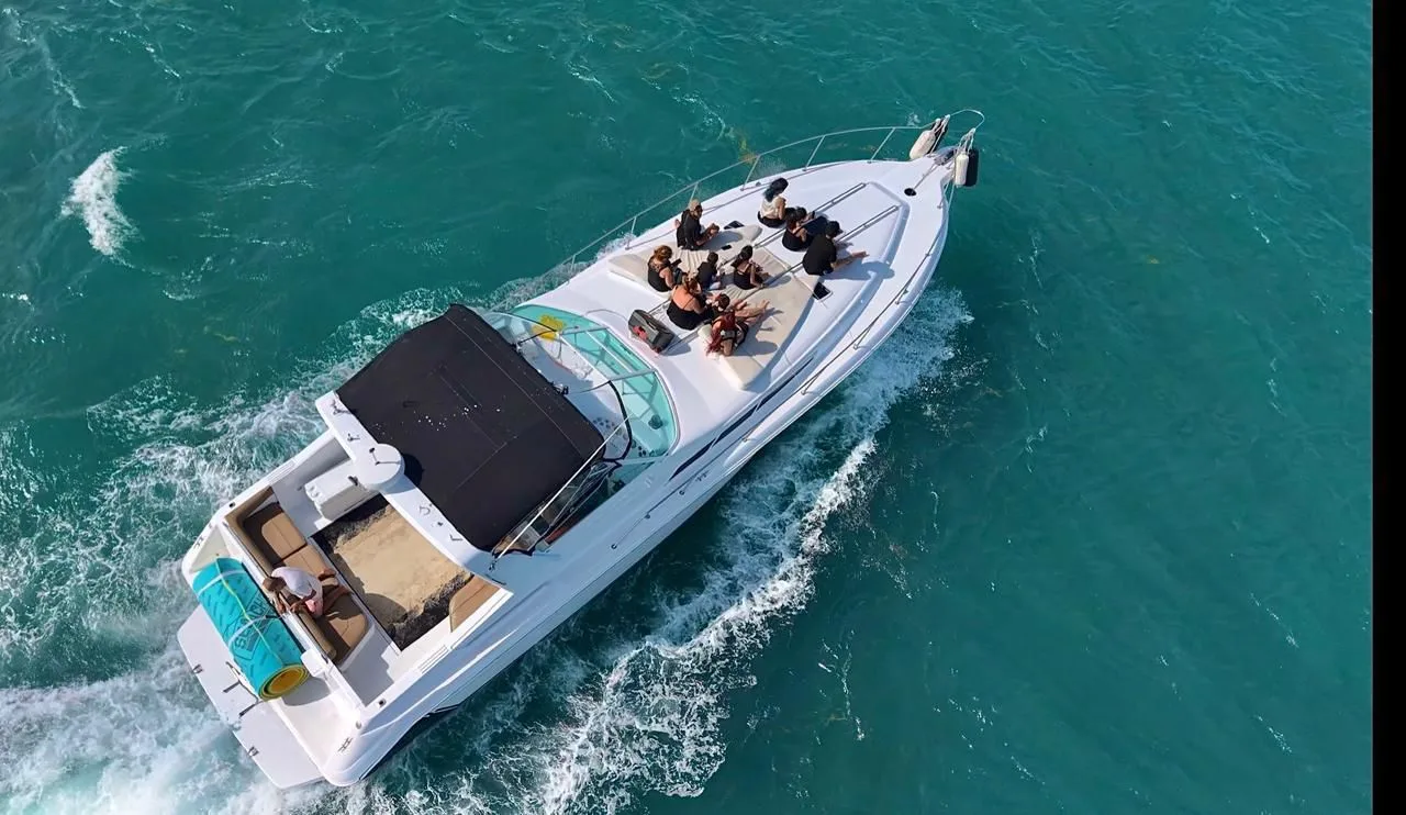 SeaRay 46 — photo 3