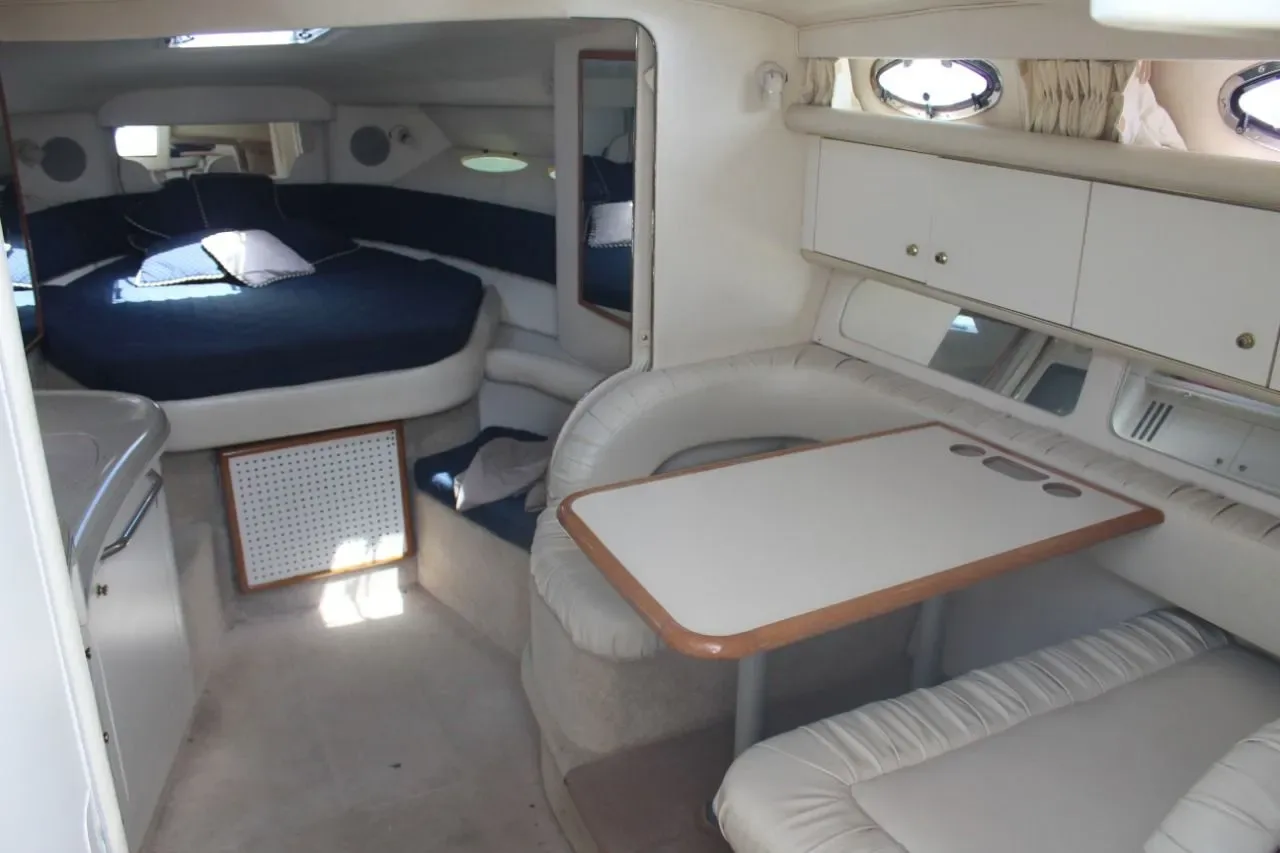 Sea Ray 35 — photo 10