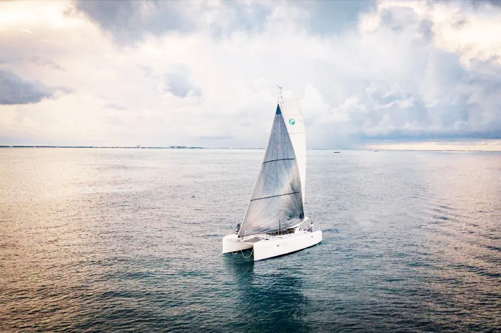 Lagoon 39 Carpediem – platino / 25 pax — photo 2