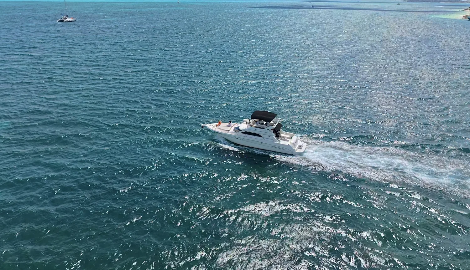 SeaRay Flybridge 46 “ — photo 4