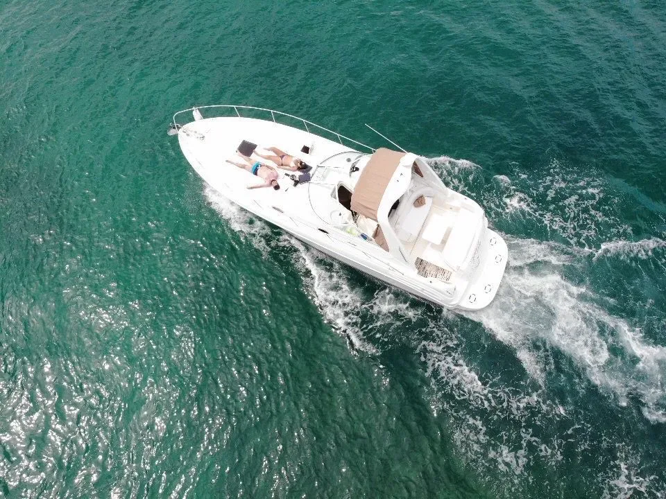 Sea Ray 35 — photo 7