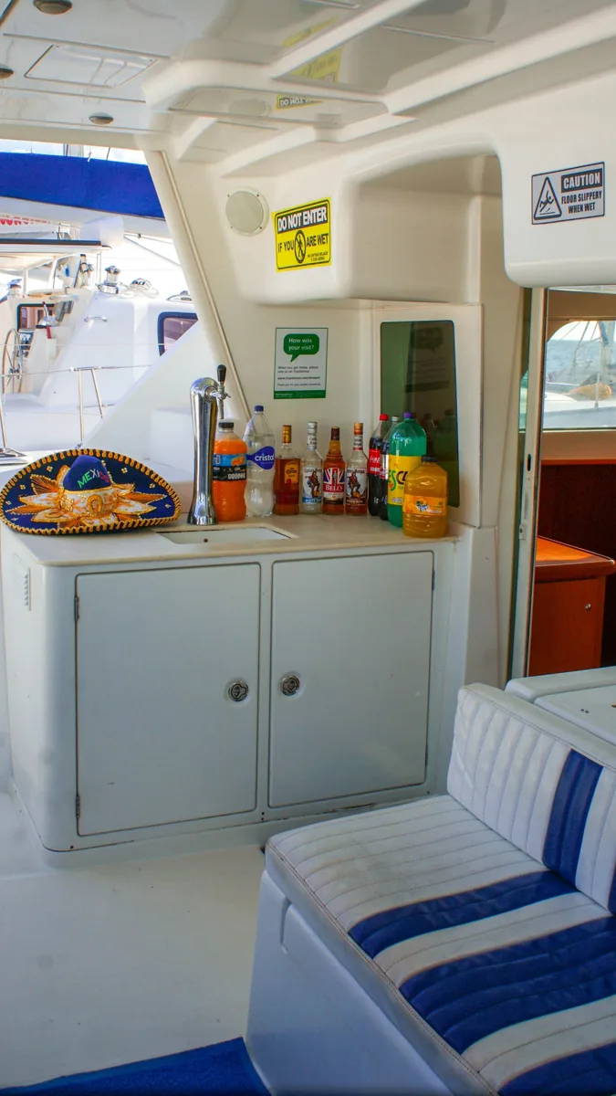 Lagoon 440 Dos – Platino / 35 pax — photo 16