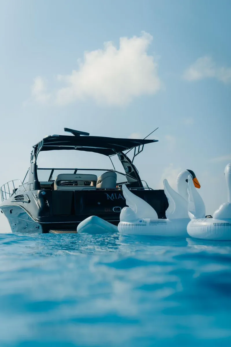 Sea Ray 43 — photo 6