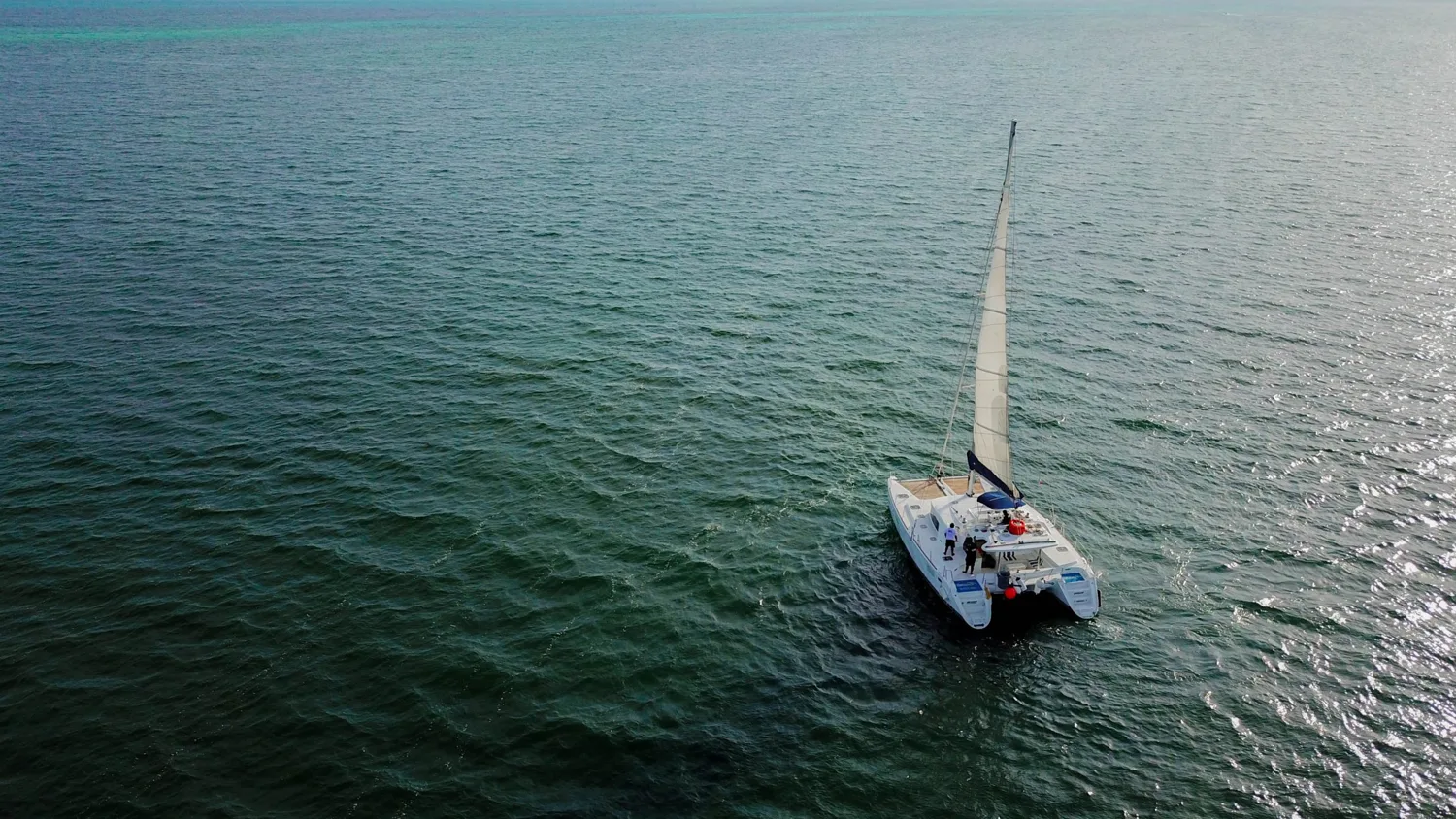 Lagoon 440 Quidam – Platino / 35 pax — photo 3