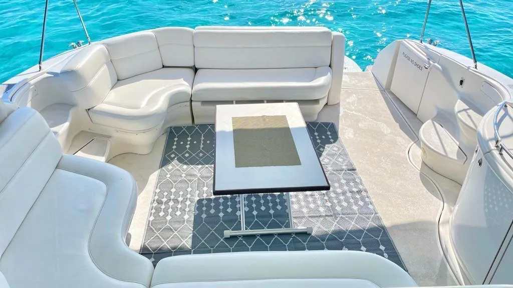 Sea Ray Sundancer 60 — photo 9