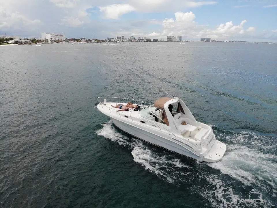 Sea Ray 35 — photo 8