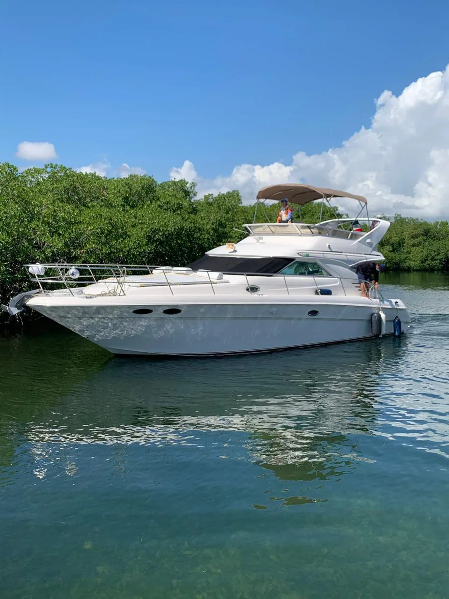 SEARAY 46FT — photo 3