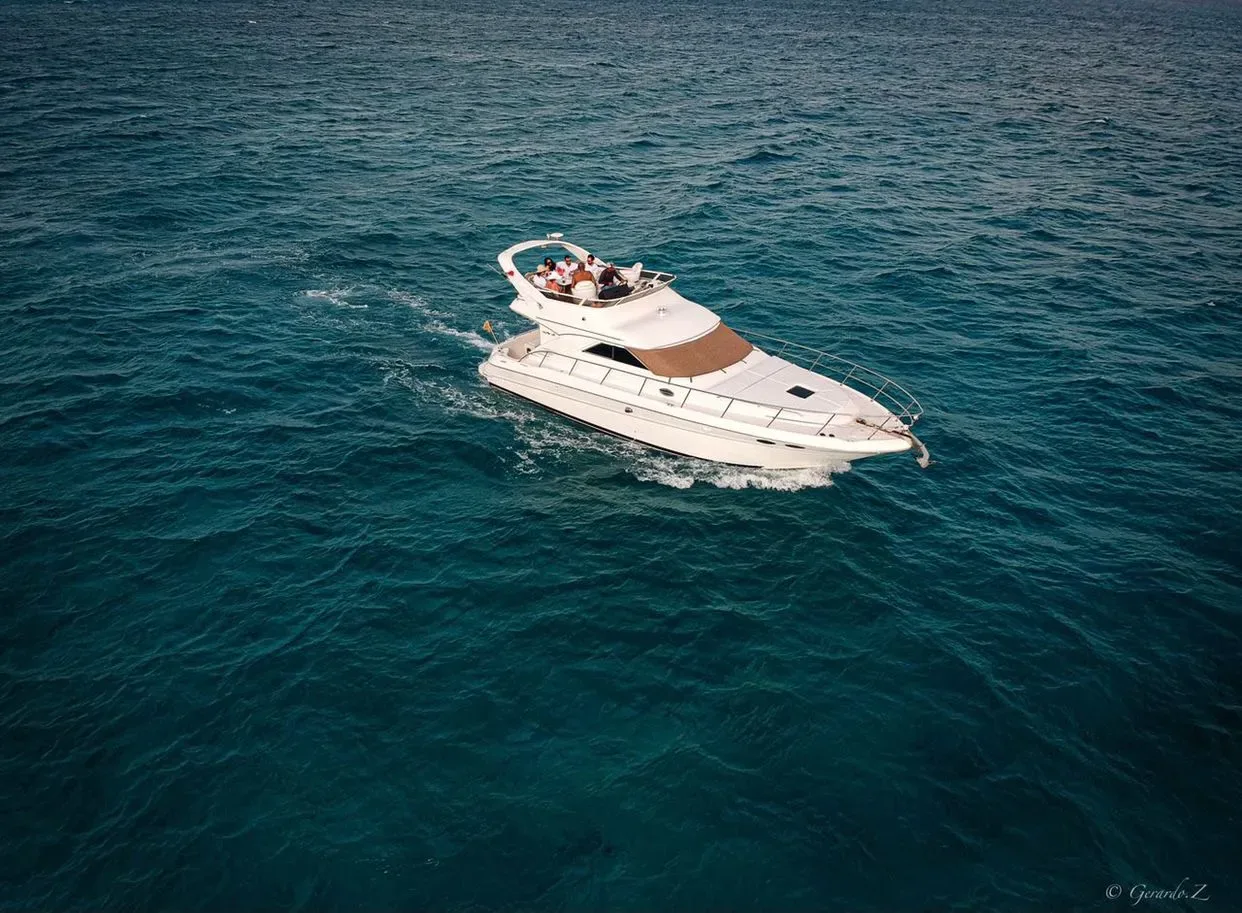 Sea Ray 46 Flybridge — Playa Norte — photo 6