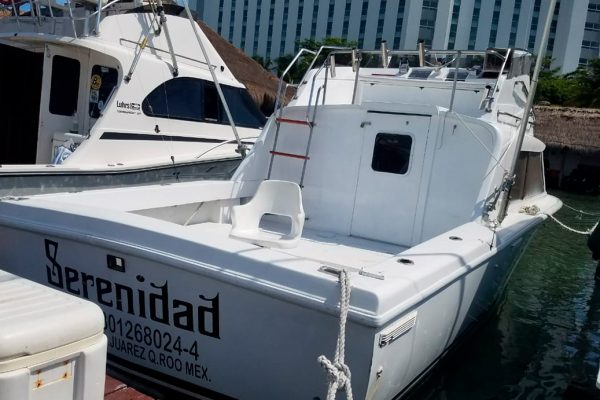 4. BERTRAM 31 ” - Special Offer of the Month! - Image 4