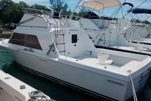 4. BERTRAM 31 ” - Special Offer of the Month! - Image 5