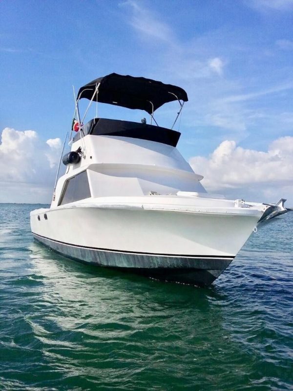 4. BERTRAM 31 ” - Special Offer of the Month!