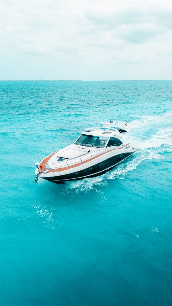 33.SEARAY 52FT - Image 23