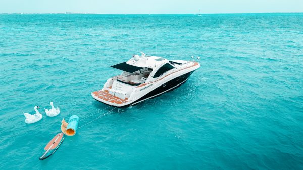 33.SEARAY 52FT - Image 31